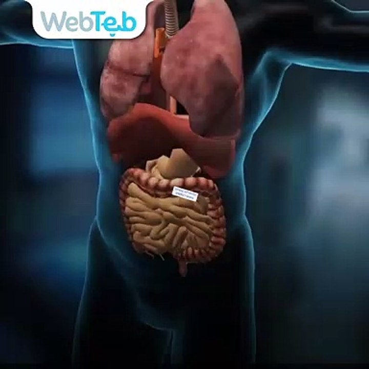 خطوات هامة للحفاظ على صحتك