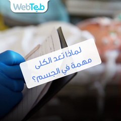 تعرف على أهمية الكلى لجسم الإنسان