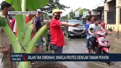 Jalan Tak Dibenahi, Warga Protes Dengan Tanam Pohon