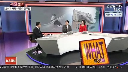 [사건큐브] 소형견 죽인 맹견 주인에 벌금형…재물손괴 무죄