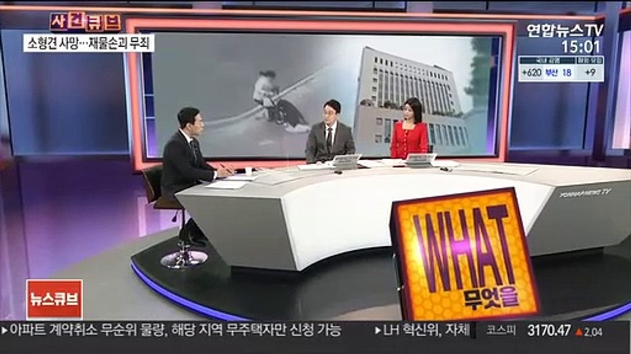 [사건큐브] 소형견 죽인 맹견 주인에 벌금형…재물손괴 무죄