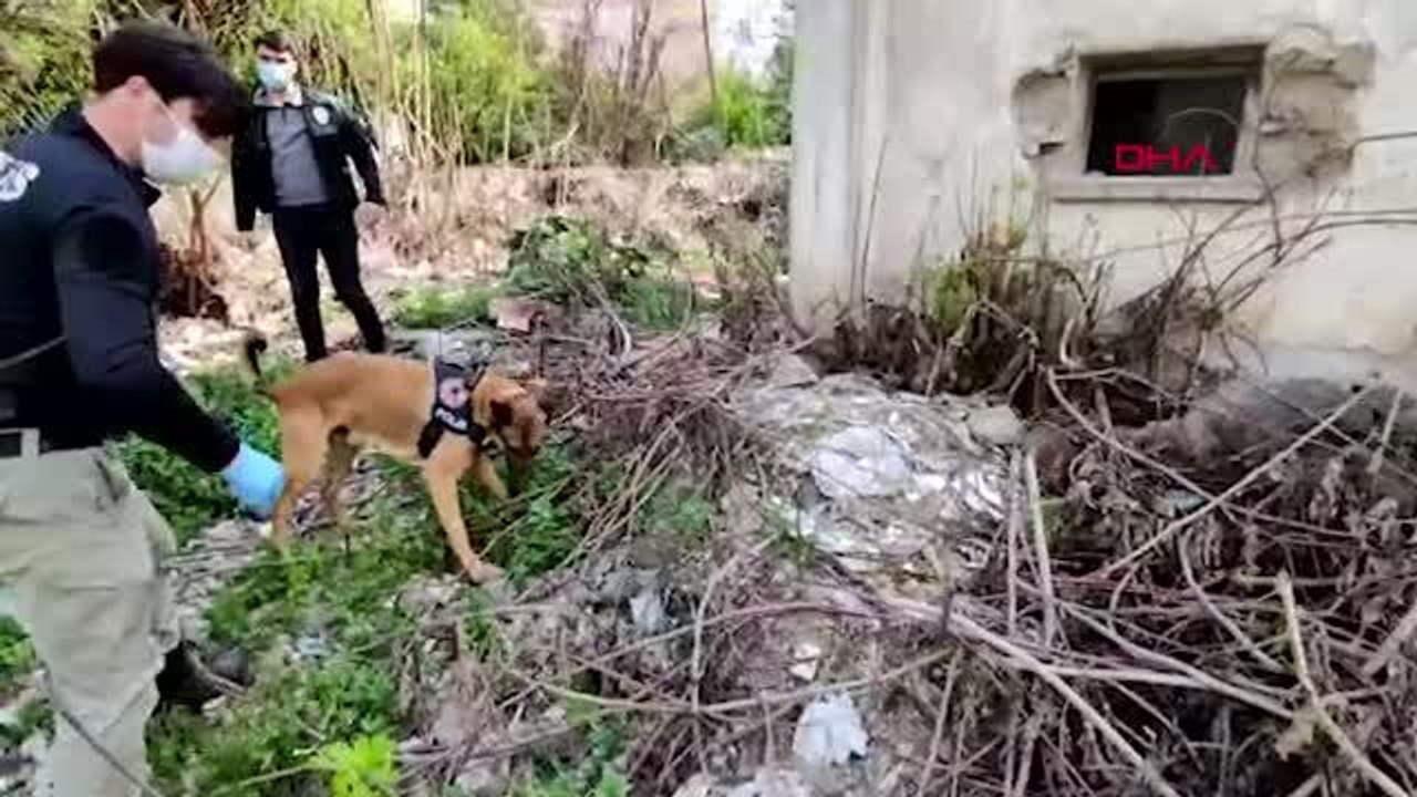 Son dakika haberleri... İçişleri Bakanlığı: Ülke genelinde yapılan 'Huzurlu Sokaklar ve Terör Suçları Uygulaması'nda 767 aranan şahıs yakalandı