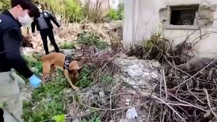 ANKARA - Türkiye genelinde yapılan uygulamada aranan 767 şüpheli yakalandı