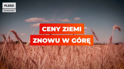 Ceny ziemi znowu w górę