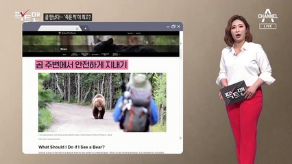 [팩트맨]곰 만나면 죽은 척해야 할까?…대처법 보니