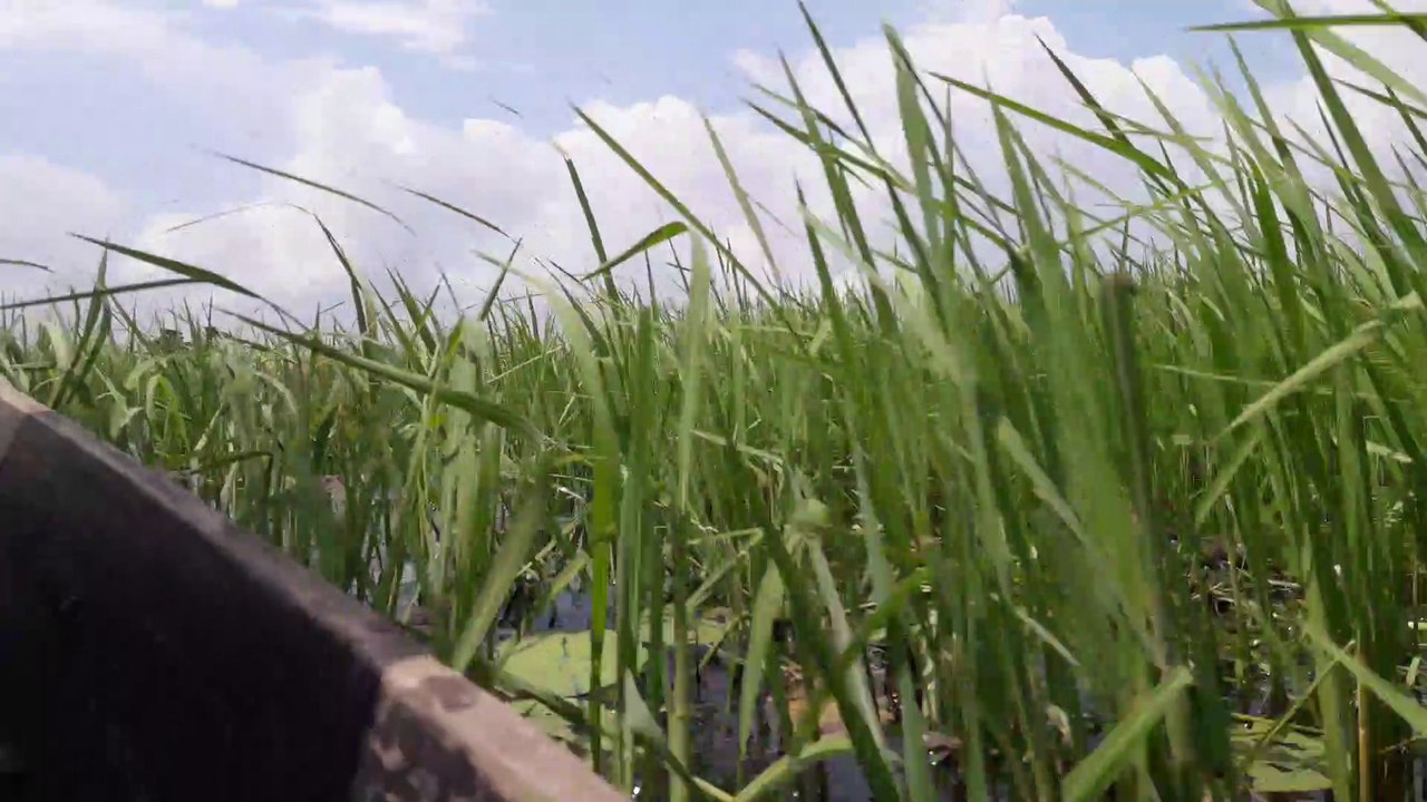 Beautiful Bangladesh  Natural Bangladesh  A Land of Beauty - Land Of Rivers