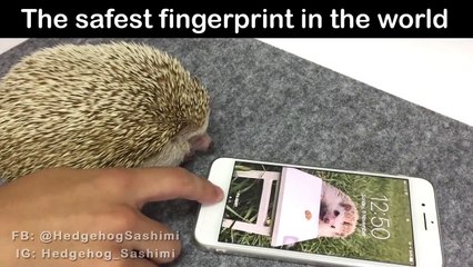 Bir garip iPhone testi!