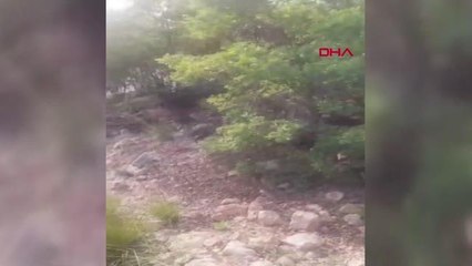 GÖYNÜK'TE 7 HEKTAR ORMANLIK ALAN YANDI