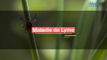 Maladie de Lyme : Quels sont les symptômes