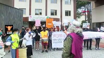 Hayvanseverler, hayvan yasaı için protesto eylemi yaptı