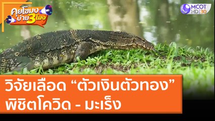 วิจัยเลือด “ตัวเงินตัวทอง” พิชิตโควิด - มะเร็ง (27 พ.ค. 64) คุยโขมงบ่าย 3 โมง