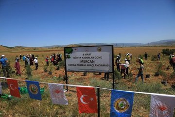 Bingöl'de, 3 bin fidan kadın eliyle toprakla buluşturuldu