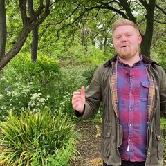 Bank Holiday Hartlepool weather forecast with the Mail's Ryan Smith