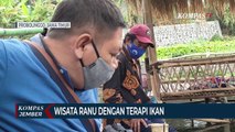 Wisata Ranu dengan Wahana Terapi Ikan, Dipercaya Dapat Sembuhkan Stroke