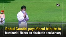 Rahul Gandhi pays floral tribute to Jawaharlal Nehru on his death anniversary