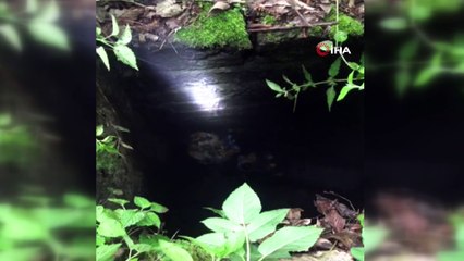 - Kuyuya düşen sokak köpeği için seferber oldular