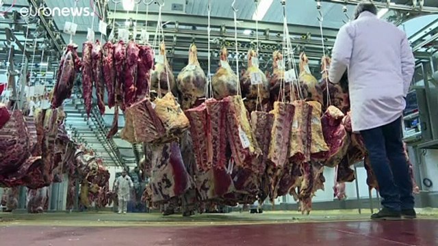 Combatir la explotación laboral a través de la Política Agrícola Común