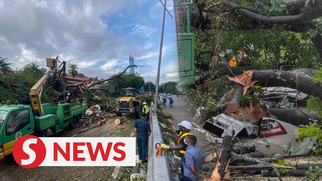 Motorcyclist injured, car damaged after tree uprooted in front of Muzium Negara