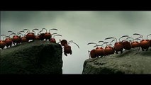 Red Ants vs Black Ants War - Final battle scene - Minuscule - 2013