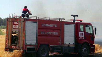 OSMANİYE - Korkut Ata Üniversitesi yerleşkesi yanında çıkan anız yangını söndürüldü