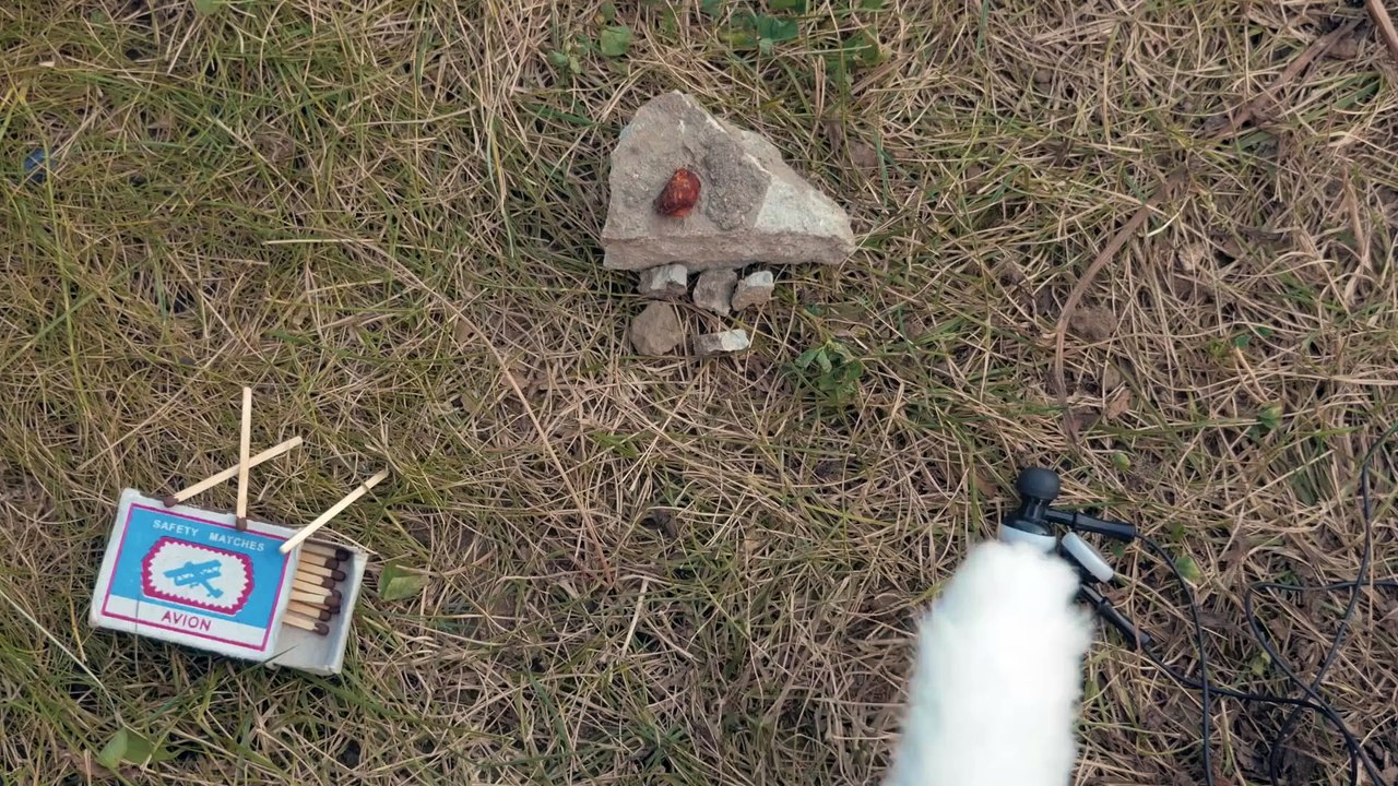 Cats vs Zombies_Full-HD