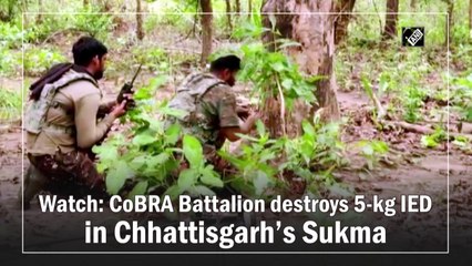 Watch: CoBRA Battalion destroys 5-kg IED in Chhattisgarh’s Sukma