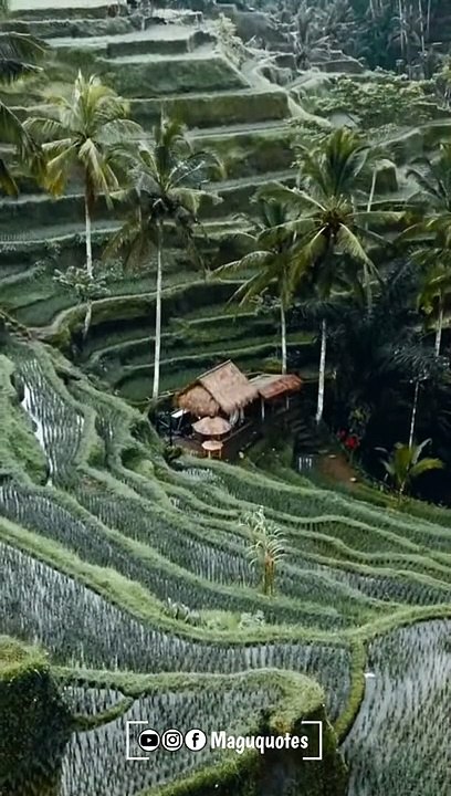 kumki bgm with natural places and natural video travel natural WhatsApp status