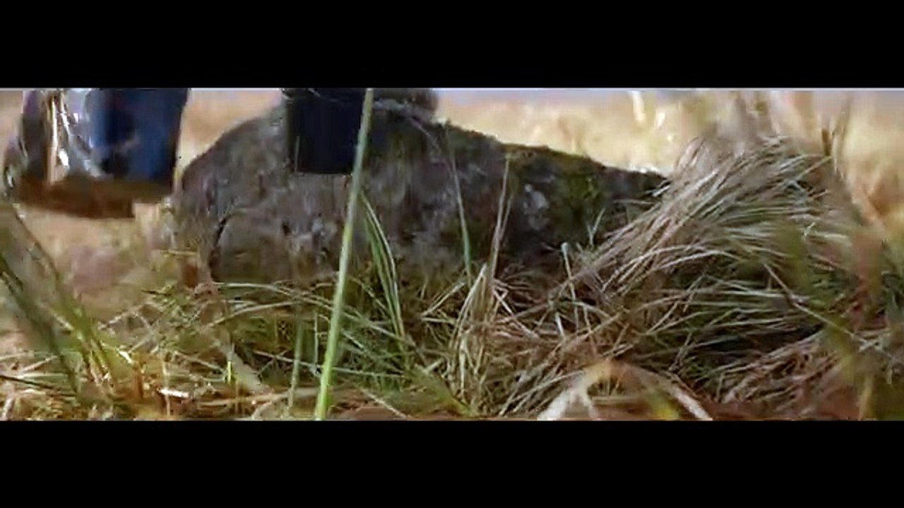 Harry Styles - Sign Of The Times (Official Video)