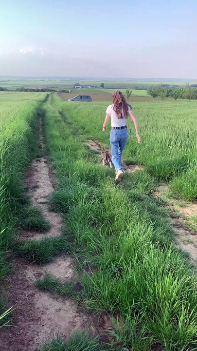 Vocal Cat Hops Through Grassy Field