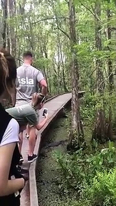 Il fait tomber son téléphone dans des marécages infestés de crocodiles... oups