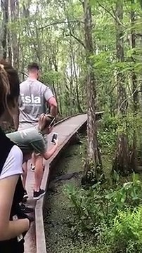 Il fait tomber son téléphone dans des marécages infestés de crocodiles... oups