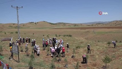 Bingöl'de kadınlar, 3 bin fidanı toprakla buluşturdu
