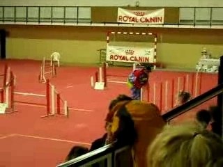 Eurocopter 17FEV08 Kevin Jumping