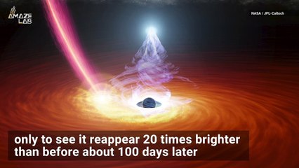 This Event Has Never Been Seen Before in a Black Hole’s Corona