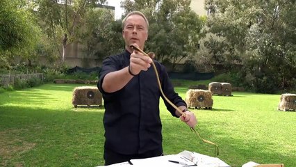 New! Cuman, Tatar Style Bamboo/Wood Bow By Sarmat Archery - Review