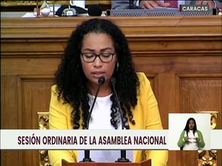 AN aprueba en primera discusión Proyecto de ley de reforma parcial