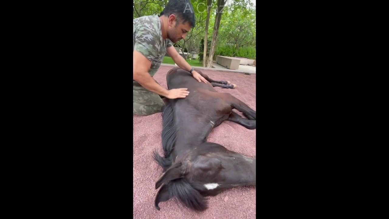MS Dhoni Love For A Horse II by A Crazy Tv Telugu