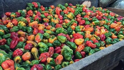 VENEZUELA EN RIESGO DE PRODUCIR SOLO EL 10% DE ALIMENTOS DEL CAMPO EN 2021