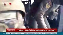 Yaralı PKK'lı teröriste Mehmetçik şefkati