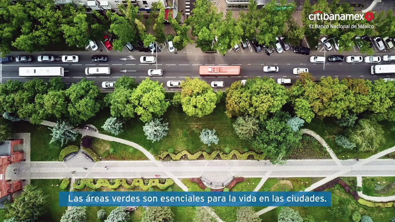 Ecocity_29Diciembre_V2 (1)