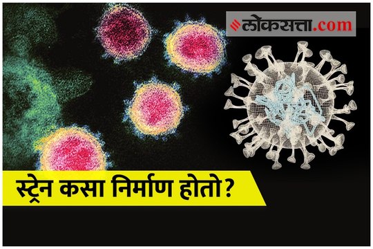 विषाणूचा नवा स्ट्रेन म्हणजे काय ?