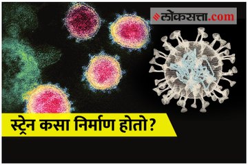 विषाणूचा नवा स्ट्रेन म्हणजे काय ?