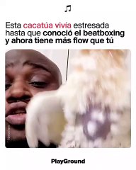 Esta cacatúa vivía estresada hasta que conoció el beatboxing y ahora tiene más flow que tú