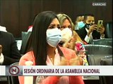 Aprobado por unanimidad el Acuerdo del día internacional de acción para la salud de las mujeres