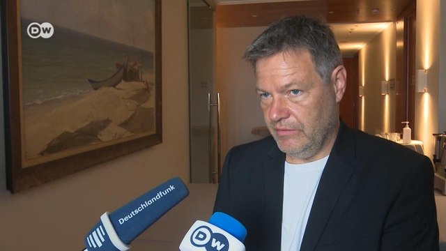 Немецкая помощь для украинской армии: что сказал лидер зеленых ФРГ после поездки в Донбасс