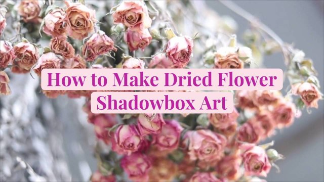 How to Make Dried Flower Shadowbox Art