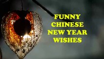 Funny Chinese New Year Wishes, Messages