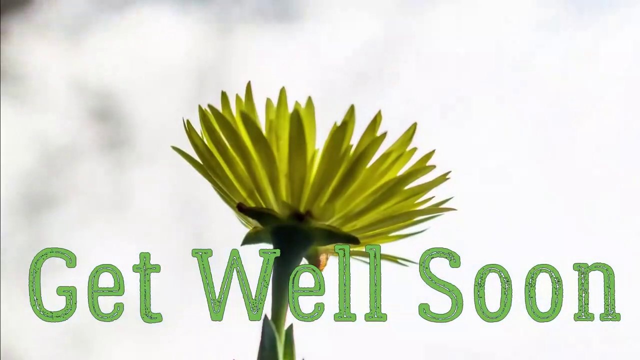 Get Well Soon Messages & Wishes - Best Get-Well Video Messsages