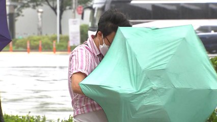 [날씨] 전국 많고 요란한 비...돌풍·우박 주의 / YTN