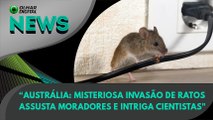 Ao Vivo | Austrália: misteriosa invasão de ratos assusta moradores e intriga cientistas | 27/05/2021 | #OlharDigital (521)